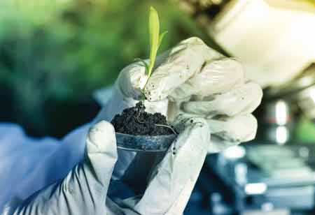 The Role of Technology in Redefining the Classroom Design Process